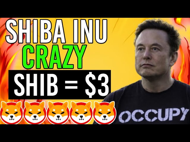 Elon musk REVEALS HOW SHIBA INU COIN WILL HIT $3 Soon!!