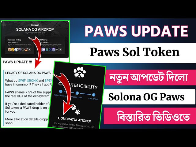 발 업데이트 | Solona og paws | PAWS SOL 토큰