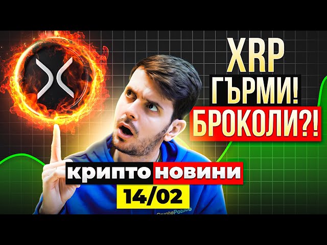 Ripple (XRP) Donner! Deshalb! Was passiert mit der BNB -Kette? Crypto News 14/02