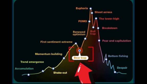 Lexa Moon Crypto