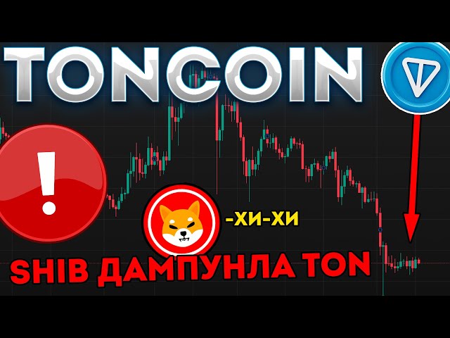 Toncoin is inferior to Shiba Inu due to strong growth! When is pump ton ?? - Tonkoin news