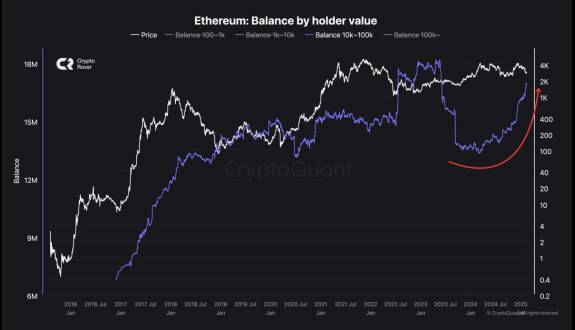 Crypto Rover