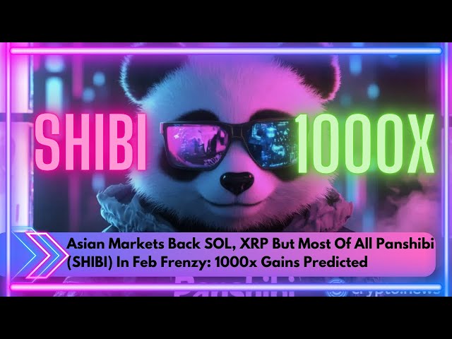 Marchés asiatiques Back Sol, XRP mais surtout Panshibi (Shibi) dans Feb Frenzy: 1000x Gains prédits