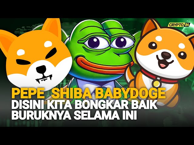 Pepe Coin Shiba et Babydoge Nous démantalisons le bon et potentiellement le prix