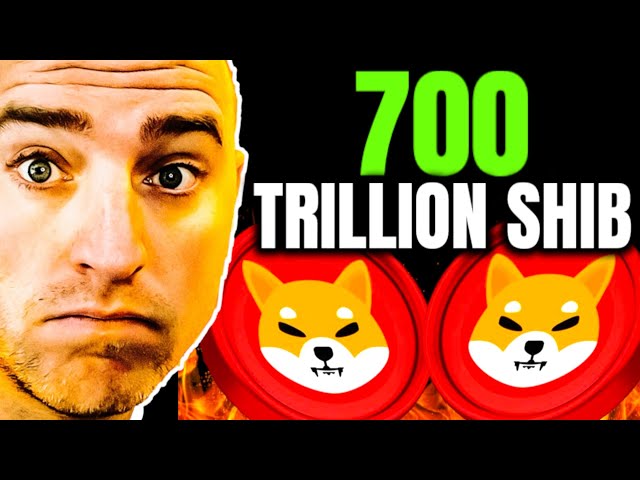 Shiba Inu Coin - 700 Billionen Schibie sehr wichtig!