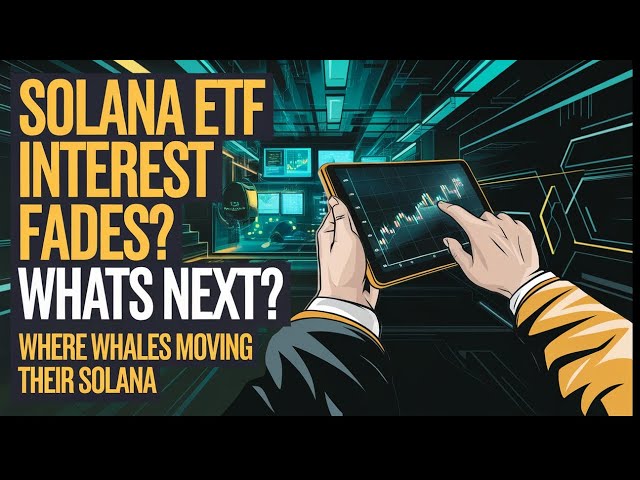 Solana ETF 과대 광고가 사라집니다 - 다음의 알트 코인은 무엇입니까? 솔라나 홀더가 빠르게 움직이고 있습니다!