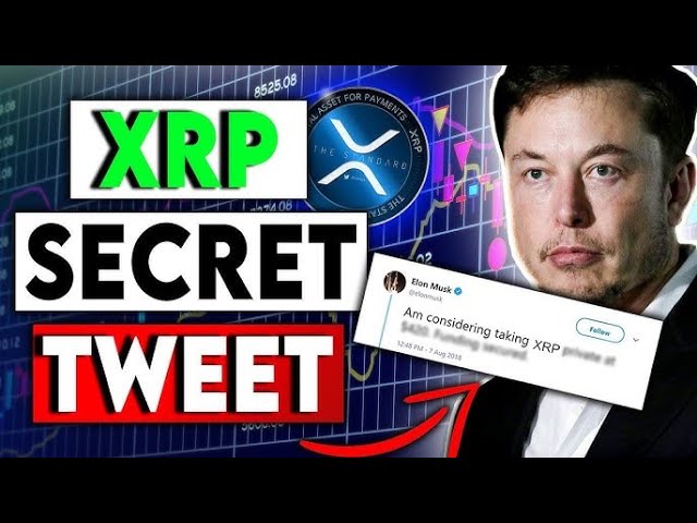 XRP 보유자 - 최대한 빨리 알아야합니다! (그들은 당신이 XRP를 판매하기를 원합니다)