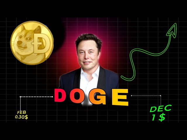 Doge硬币 - 最佳模因硬币？ Doge硬币价格预测Banga 2025