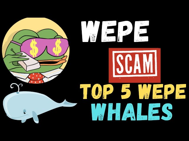 Wall Street Pepe WEPE PRESALE COIN CRYPTO SCAM MISE À JOUR LEGIT CLACTION DE LA MUR DE LA LABRE