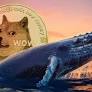 Dogecoin Whale Moves 100M DOGE Worth $25.42M to Binance, Analysts Eye Potential Breakout