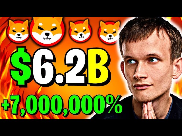 * Breaking* Vitalik Buterin Shiba Inu 동전을 달에 보냅니다! -Shiba INU 뉴스