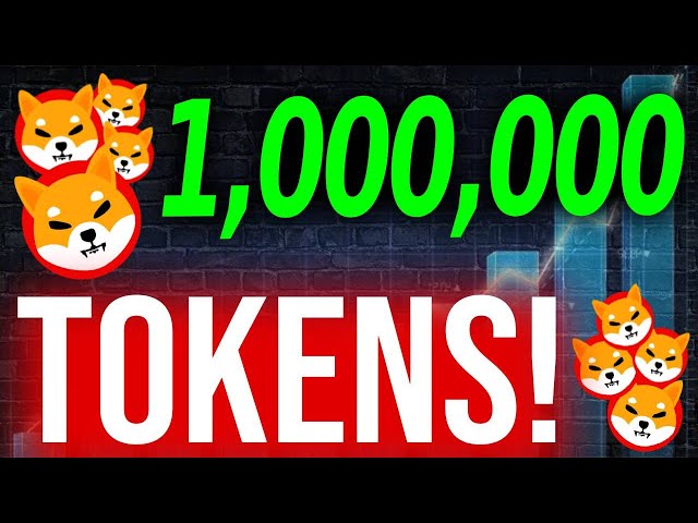 Wenn Sie immer noch 1.000.000 Shiba Inu -Token HODL haben, müssen Sie sich dieses Video ansehen !! - Shiba Inu Coin News