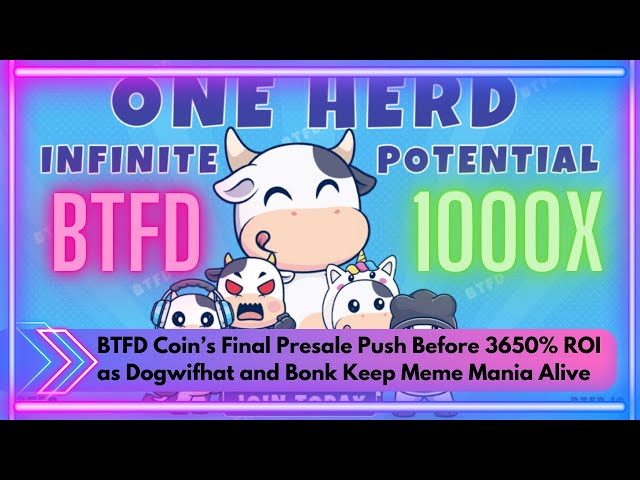 BTFD Coins letztes Vorverkauf vor 3650% ROI als Dogwifhat und Bonk Meme Mania am Leben