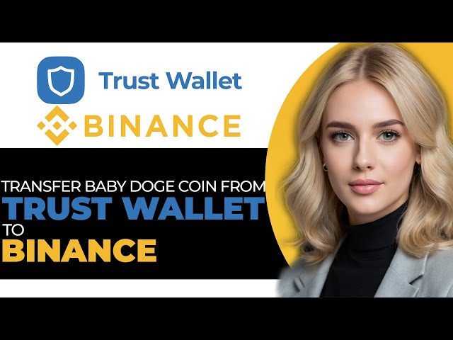 So transferieren Sie die Baby -Doge -Münze von Trust Wallet in Binance im Jahr 2025 (aktualisiert!)