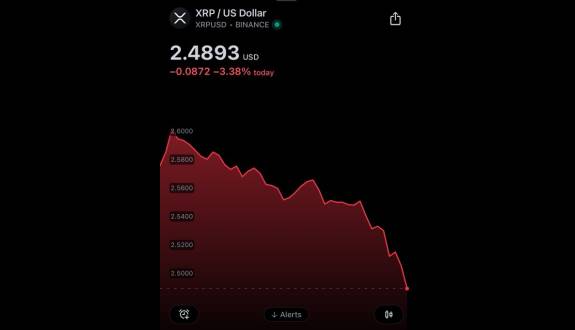 XRP whale