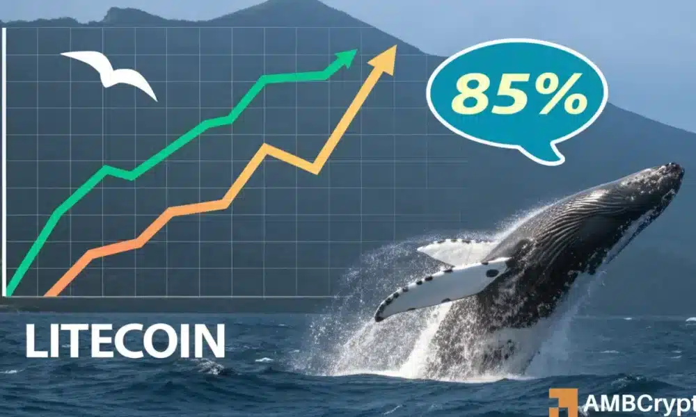 Litecoin (LTC) Whales Accumulate 1 Million Tokens, Triggering ETF Speculation