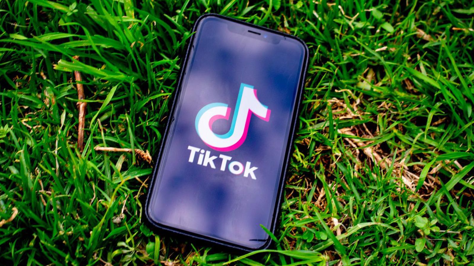 TIKTOK -Geschenke: Wie viel sind sie wert und wie funktionieren sie?