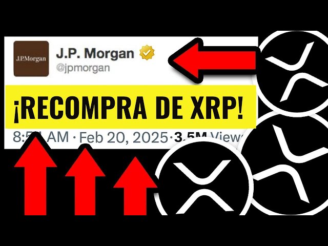 XRP 리플 : JPMorgan은 방금 모든 것을 구입했습니다! 오늘 밤 $ 333.33의 강력한! - 뉴스