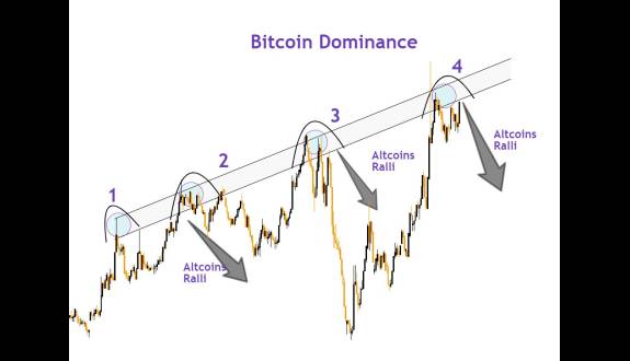 Cryptosahintas