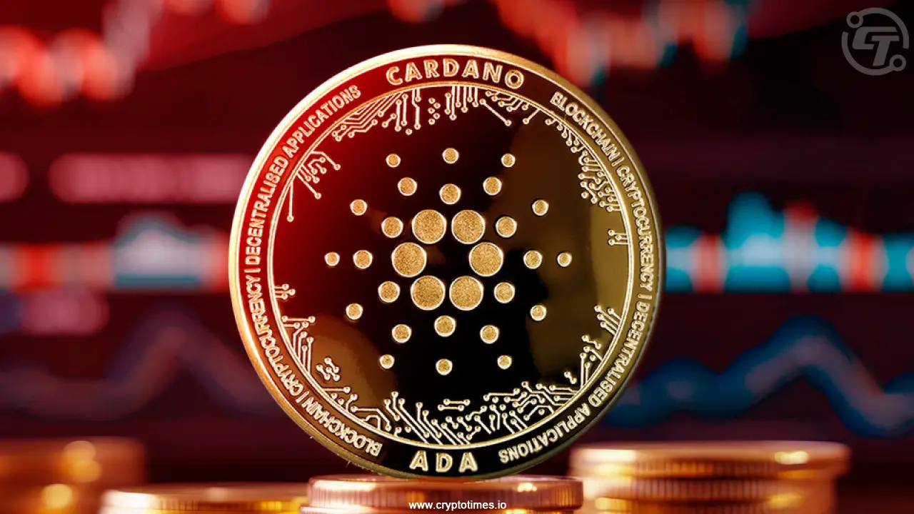 Cardano (ADA) Price Falls Below $0.8 as Network Activity Slows Down