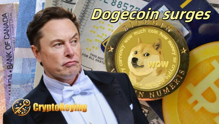 Dogecoin（Doge）云采矿 - 如何在云中开采Dogecoin（Doge）