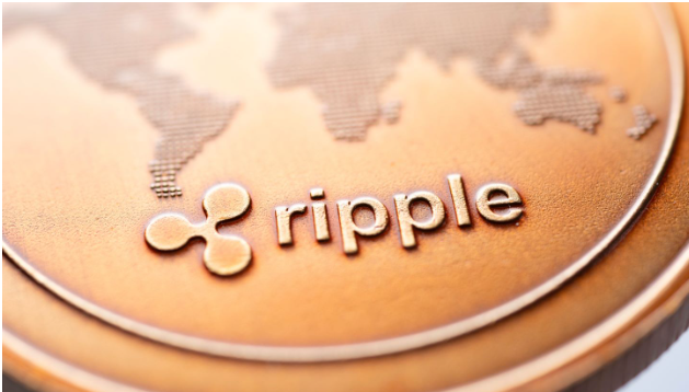 Panshibi (Shibi) entsteht als Spitzenreiter für 2025, könnte Ripple Rocket bald auf 3,23 USD?