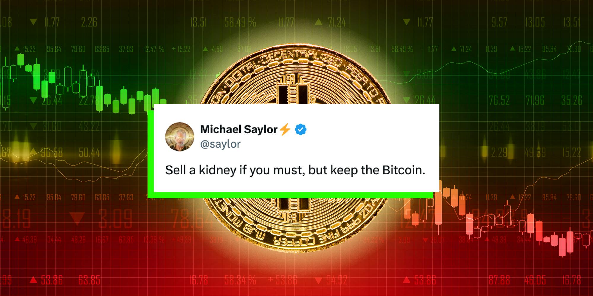 MicroStrategyの共同設立者であるMichael Saylorのビットコイン投資家が暗号通貨資産を保持するための訴えが爆発しています。