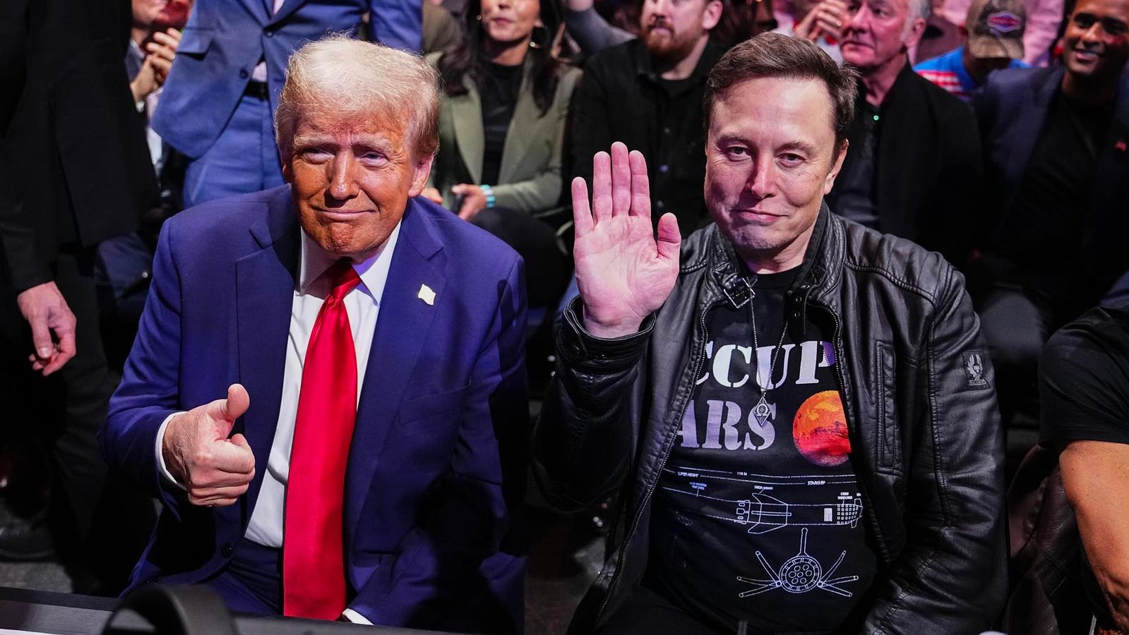 Running a White House division named for an internet meme was beyond what Elon Musk could “possibly imagine”