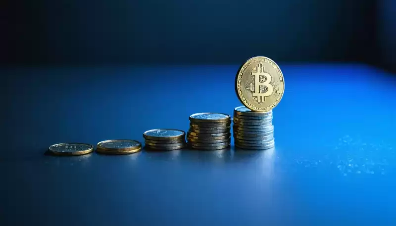 지진 변화는 cryptocurrency 세계를 통해 파문화되고 있습니다 지진 변화는 cryptocurrency 세계를 통해 파문화되고 있습니다