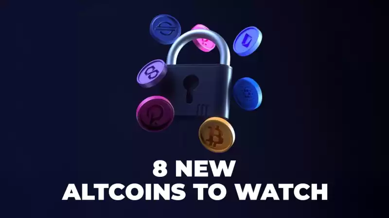 2025 년에 어떤 cryptocurrencies가 다음에 큰 일이 될 수 있는지 궁금한 적이 있습니까? 2025 년에 어떤 cryptocurrencies가 다음에 큰 일이 될 수 있는지 궁금한 적이 있습니까?