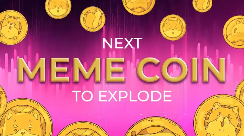 폭발 할 다음 밈 동전은 단지 과대 광고가 아닙니다. 올바른 강아지를 고르는 것입니다 폭발 할 다음 밈 동전은 단지 과대 광고가 아닙니다. 올바른 강아지를 고르는 것입니다