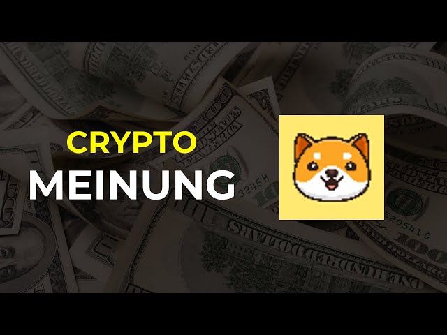 Baby Doge Coin Coin: Mon avis! (Crypto, jeton, prévisions, analyse, évaluation)