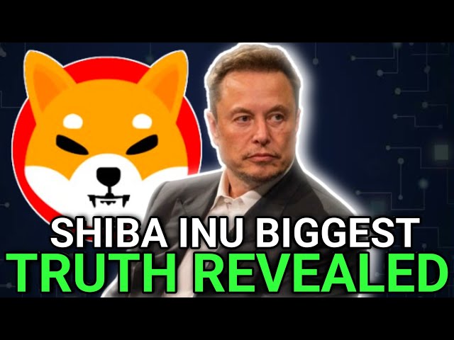 Shiba Inu硬币最大的秘密|还是模因硬币吗？