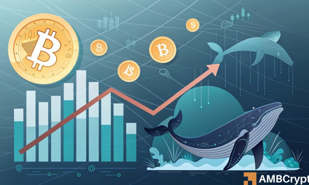 Alors que les baleines Bitcoin [BTC] commencent à vendre, la demande du marché reste élevée