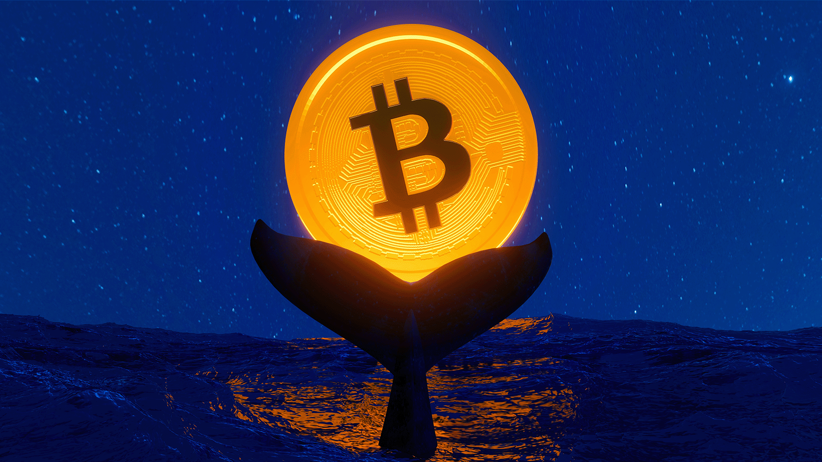 Bitcoin Whale Holdings haben ihren niedrigsten Stand seit sechs Jahren erreicht