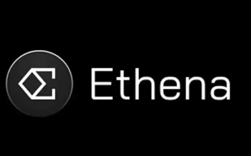 Ethena團隊成員 Ethena團隊成員