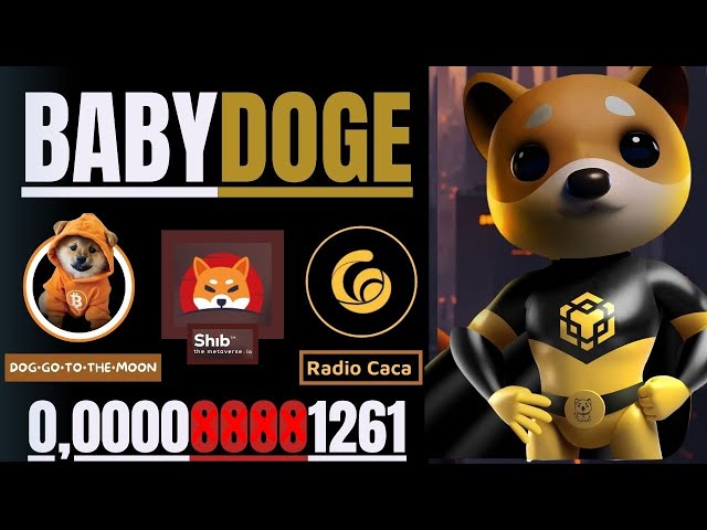 baby doge coin // 개가 달로 이동 + 시바 이누 e 라디오 caca🔥 #babydogecoin #radiocaca #bitcoin