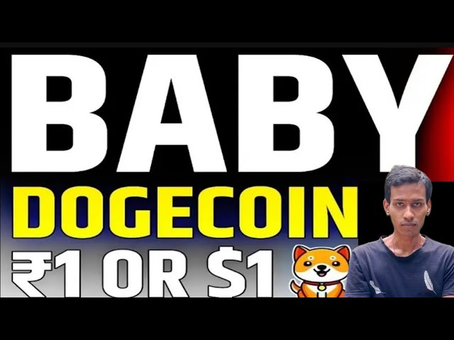 Baby DogEcoin £ 1 | Brennen | BABYDOGE MOIN PREISPUMPE | Binance -Auflistung