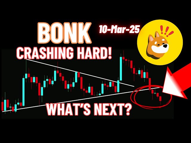 Bonk Coin s'écrase dur! Quelle est la prochaine étape?