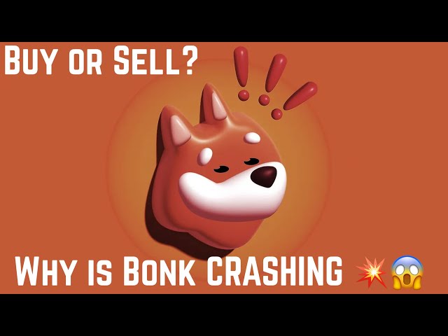 Bonk Coin News aujourd'hui: 20 000 $ de brûlure | analyse commerciale