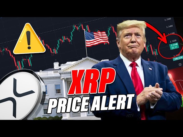 Ripple XRP News - 🚨 Die große Blockchain -Entscheidung der US -Regierung! XRP -Preis im Voraus zu springen? 🚀💥