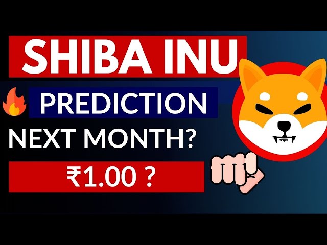 Shib Inu Coin Next Target? Shiba INU Prix Prediction 2025 | Shiba Inu News aujourd'hui | Shiba Inu Coin