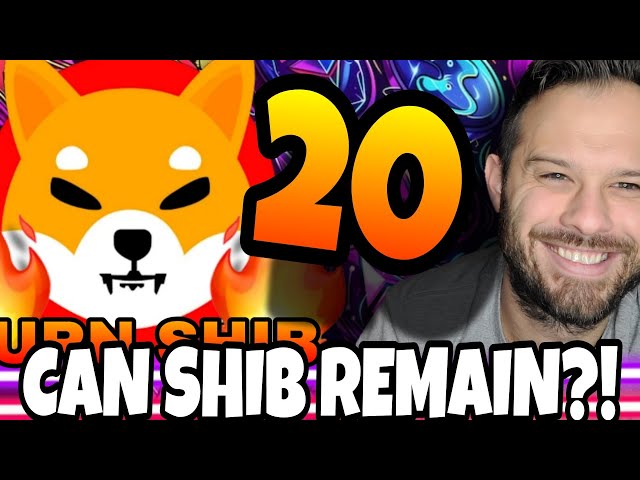 Shiba Inu Coin | Shib restera-t-il dans le top 20 des cryptos ?!