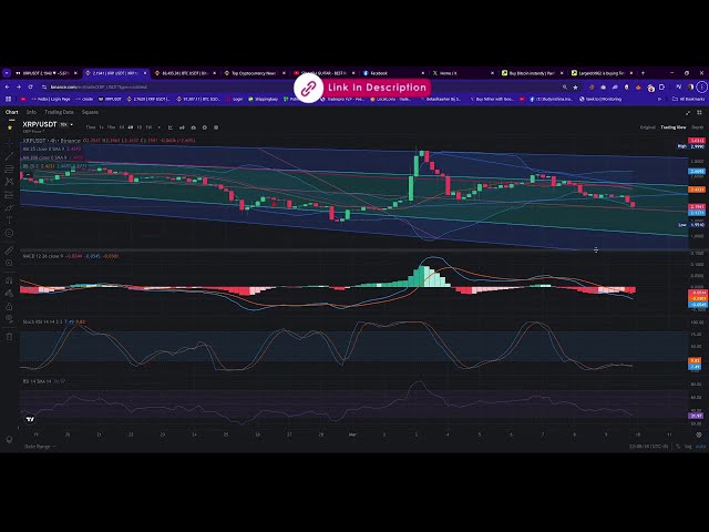 🚀 XRP 기술 분석 : 앞으로의 낙관적 모멘텀? 🚀 | 3 월 9 일 통찰력