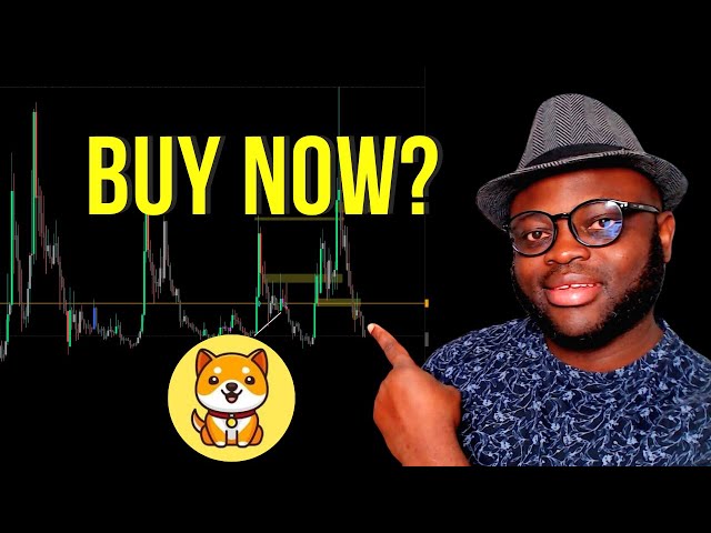 Baby Doge Coin: Why I'm Buying At This Level