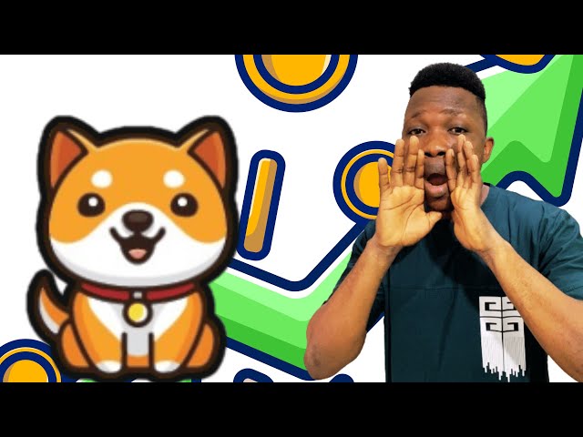 Baby Dogecoin : Baby Doge Token은 많은 사람들을 놀라게 할 것입니다