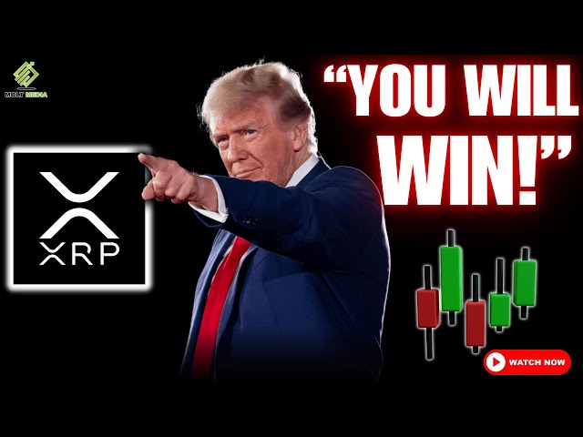 breading速度：リップルXRPアップデート-Price、Trump＆Sec -XRP！