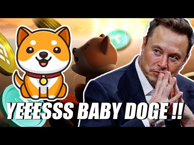 Holder Baby Doge Coin Since 2021 !! Must know this !! Check now