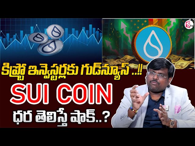 Rajesh：SUI COIN最新更新泰卢固语|令人震惊的价格Sui硬币未来的潜力| MM＃加密