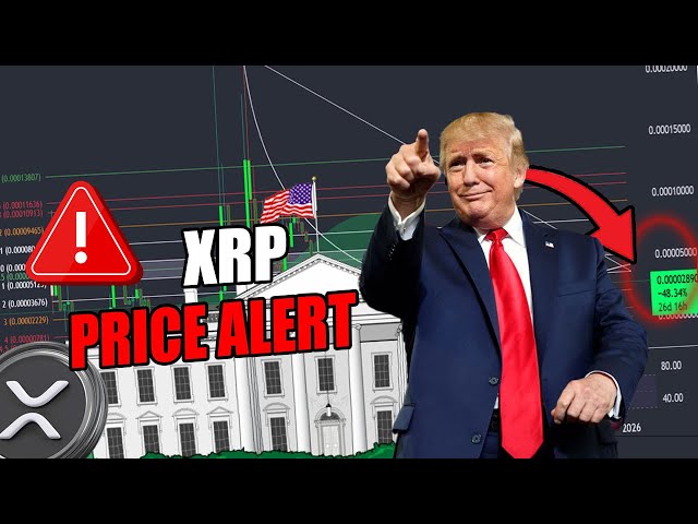 RIPPLE XRP News -🚨米国政府の大きなブロックチェーンの決定！ XRP価格は急上昇しようとしていますか？ 🚀💥